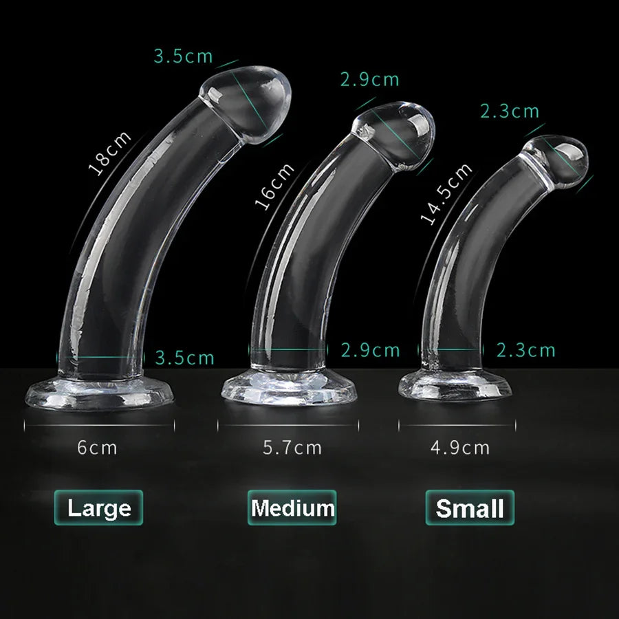 anal plug