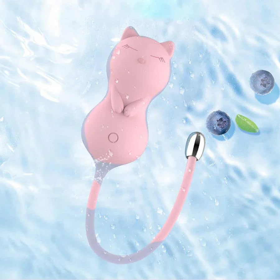 remote control sex toy