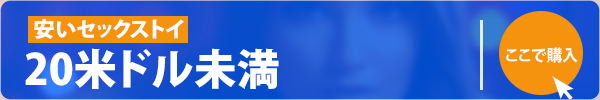 安いセックストイ
