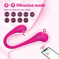app cntrolled vibrator