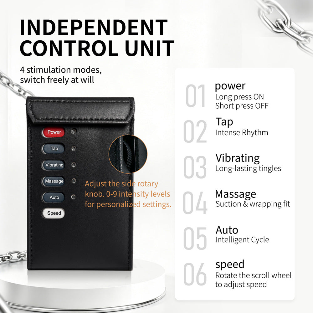 electric pulse controller