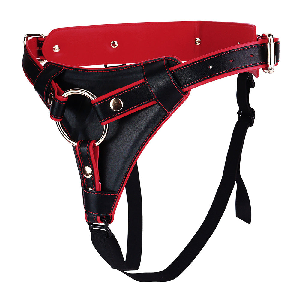 gay strap on harness