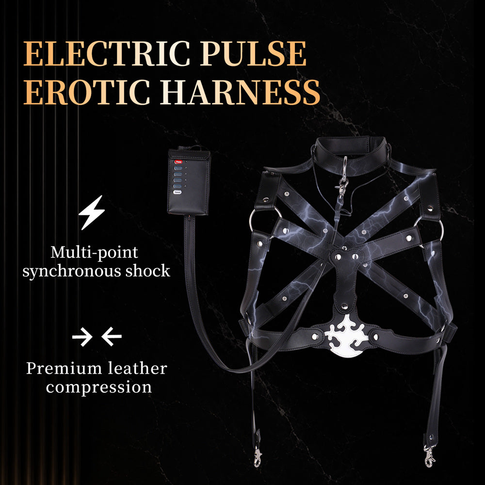 leather bdsm toy