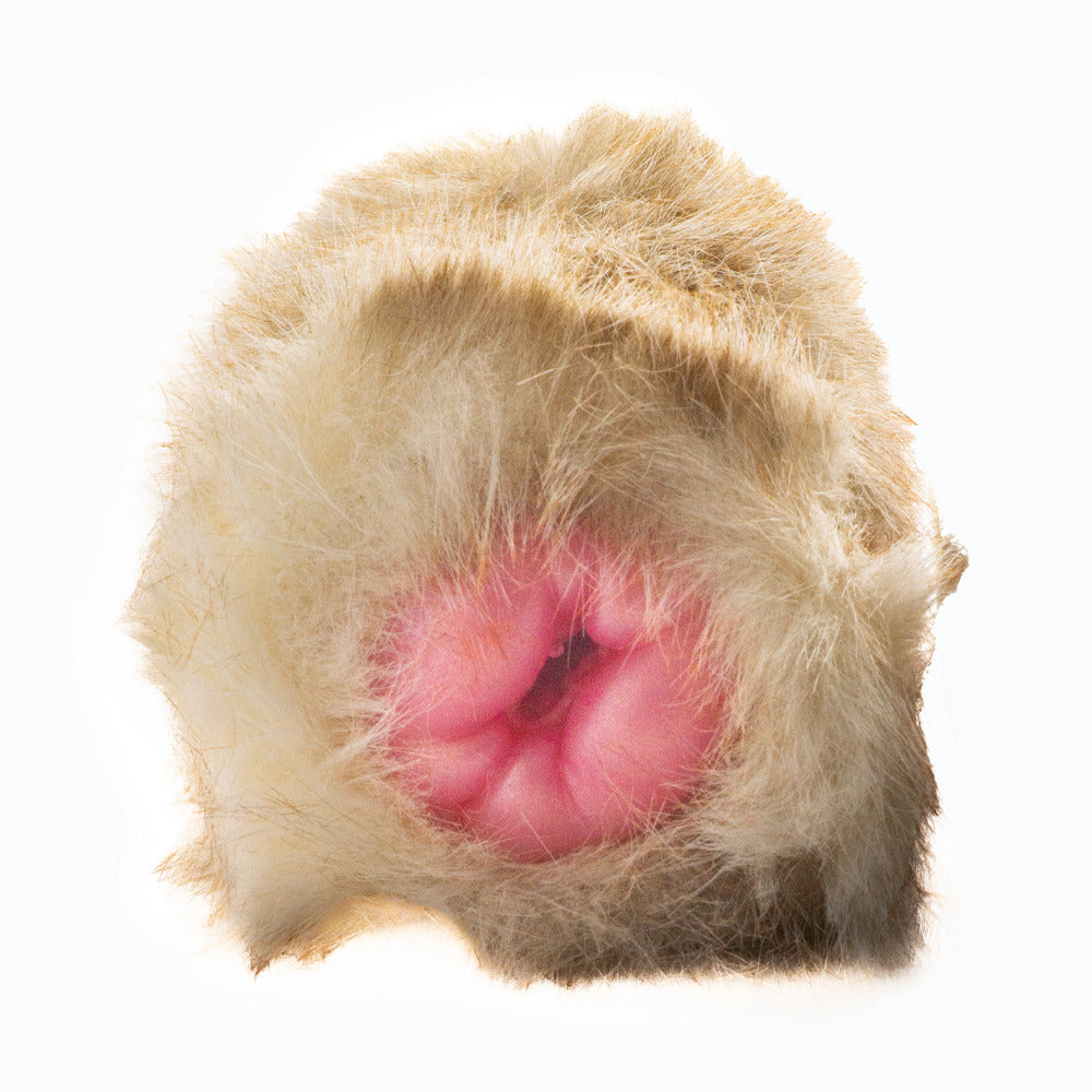 male masturbator