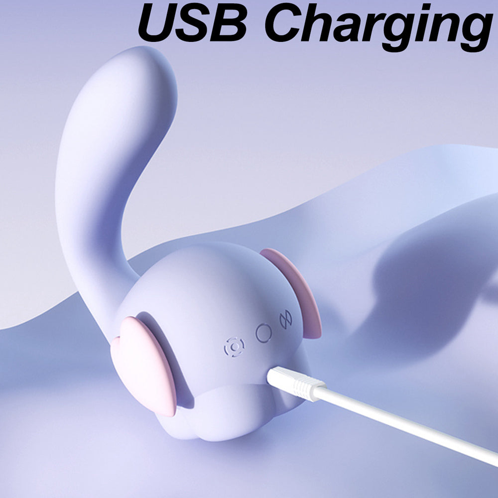 rechargeable vibrator