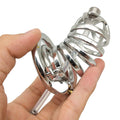 chastity device